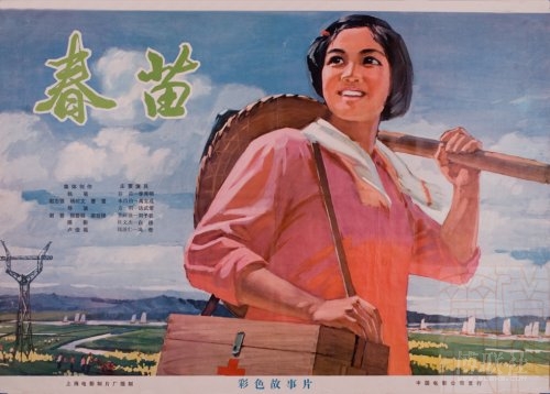 学历学位证书编号填什么